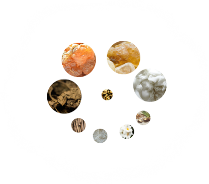 Ingredients used in sunrise to sunset perfume